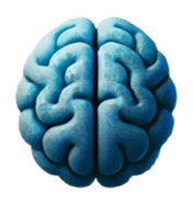 Netfunctron Logo